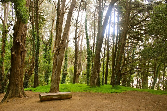 The Presidio: Main Post to the Golden Gate Bridge - Walking the Bay Area Ridge Trail