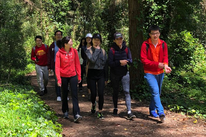 The Presidio: Main Post to the Golden Gate Bridge - Eucalyptus, cypress, and the redwood grove