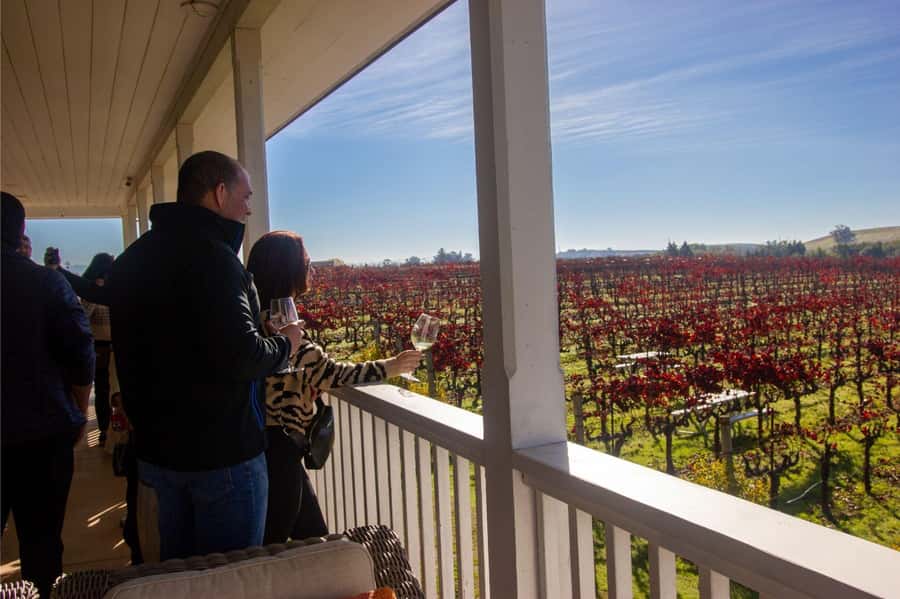 The Ultimate Napa & Sonoma Wine Tour - Key points at a glance