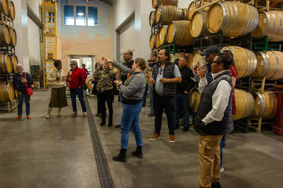 The Ultimate Napa & Sonoma Wine Tour - The Napa drive and first tasting