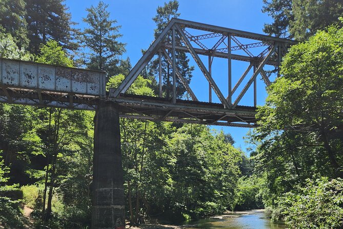 Train Ride Adventure through Mother Natures Giant Redwoods Park - Henry Cowell State Park and the giant trees