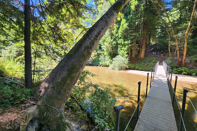 Train Ride Adventure through Mother Natures Giant Redwoods Park - What the $249 price really covers