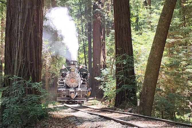 Train Ride Adventure through Mother Natures Giant Redwoods Park - A short Santa Cruz coastal pause