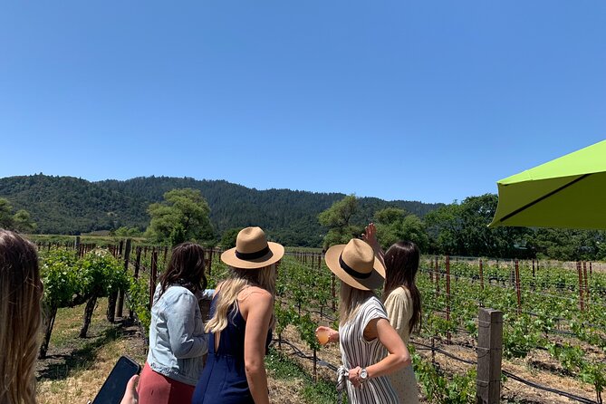 Wine Tour Pros - Napa Wine Tour: SUV Up To 6 Guests - Key points at a glance
