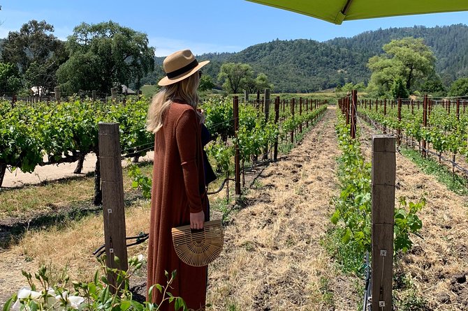 Wine Tour Pros - Wine Tour and Transportation: SUV Up To 6 Guests - Napa Valley: the classic six-hour route