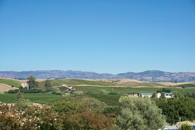 Wine Tour Transportation Services in Napa Valley - What a Six-Hour Itinerary Can Look Like