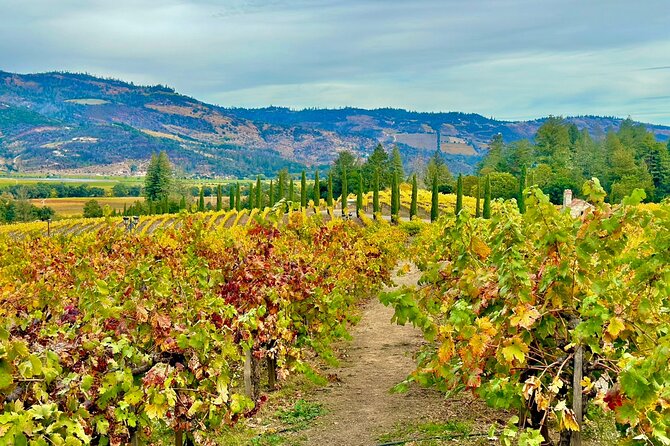 Wine Tour Transportation Services in Napa Valley - Pickup Details and Extra Fees