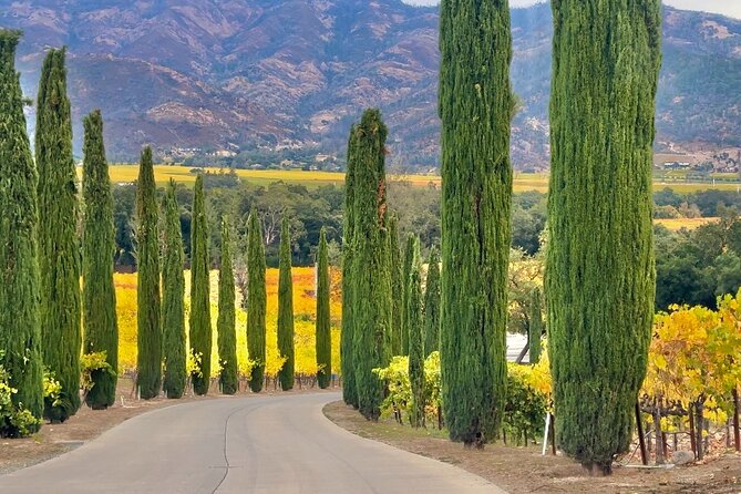 Wine Tour Transportation Services in Napa Valley - Choosing Between Napa and Sonoma