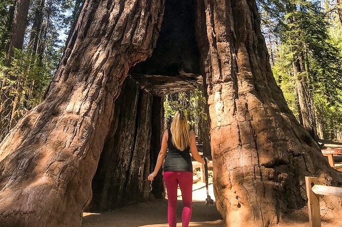 Yosemite 3-Day Camping Adventure from San Francisco - Why three days works better than a Yosemite day trip