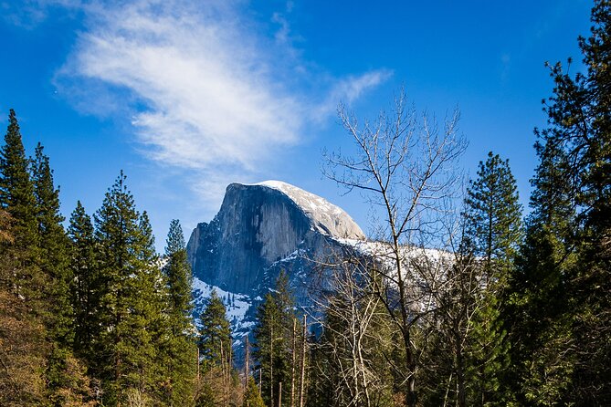 Yosemite Adventure: Full-Day Private Tour from San Francisco - Yosemite Falls and the seasonal question
