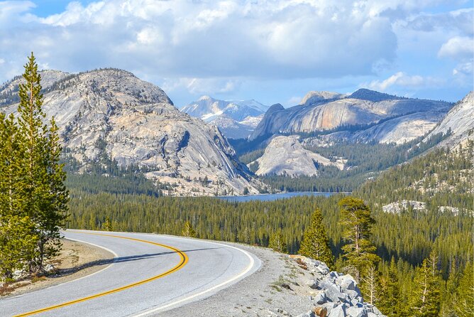 Yosemite and Tahoe from San Francisco: 4 Day Sierra Nevada Tour - Giant sequoias at Tuolumne Grove