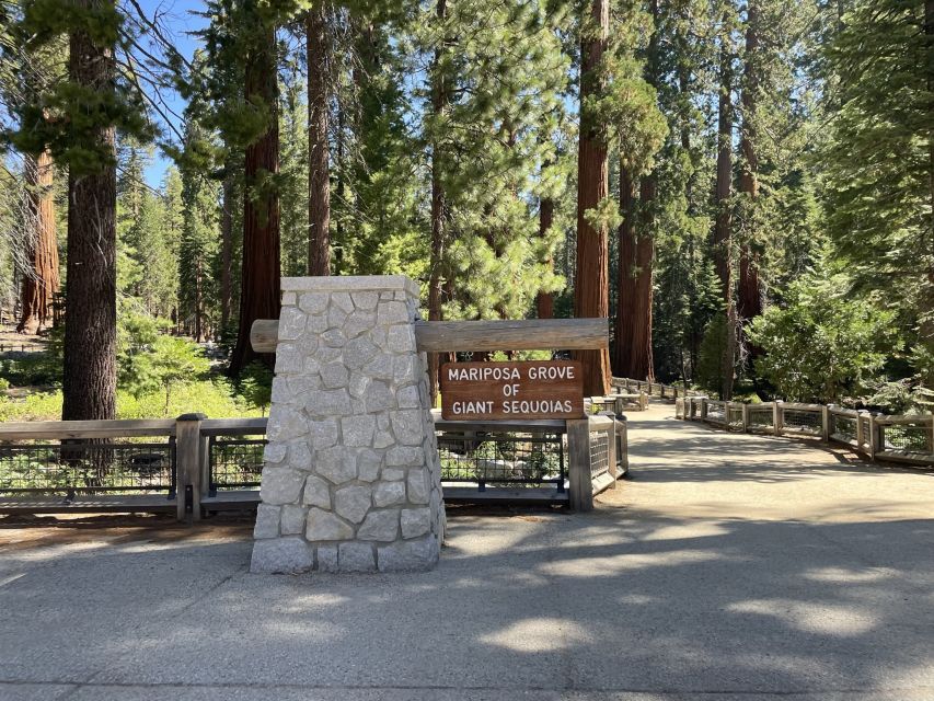 Yosemite, Giant Sequoias, Private Tour from San Francisco - Why this private Yosemite day works