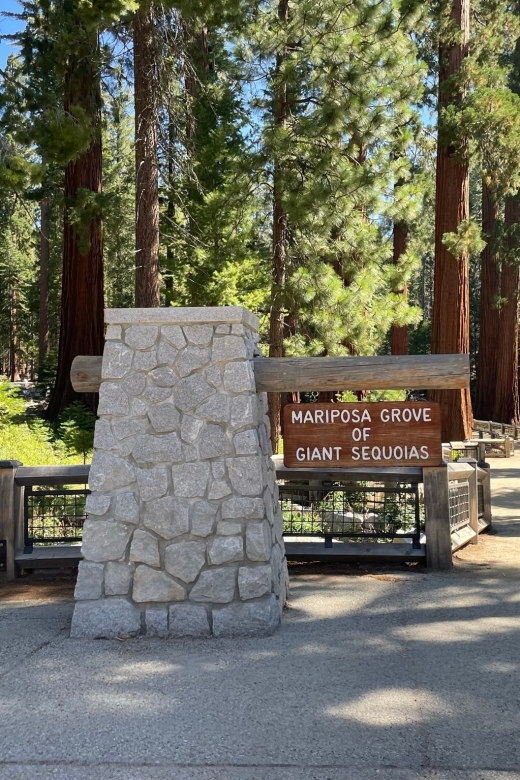 Yosemite, Giant Sequoias, Private Tour from San Francisco - Tunnel View gives you Yosemite in one frame
