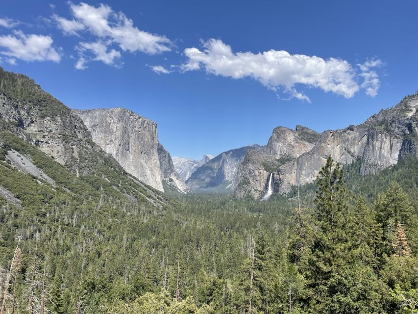 Yosemite, Giant Sequoias, Private Tour from San Francisco - Bridalveil Fall brings the water close