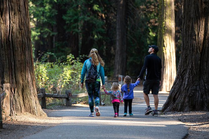 Yosemite Highlights & Giant Sequoias Day Tour from San Francisco - Tunnel View delivers Yosemite’s big reveal