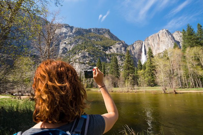 Yosemite Highlights & Giant Sequoias Day Tour from San Francisco - The Tuolumne Grove hike to giant sequoias