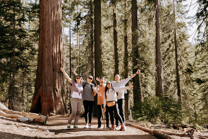 Yosemite National Park & Giant Sequoias 2-Day Semi-Guided Tour - The early ride from San Francisco to the Sierra Nevada