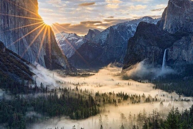Yosemite Private Tour from San Francisco - Mariposa Grove brings in the giant sequoias