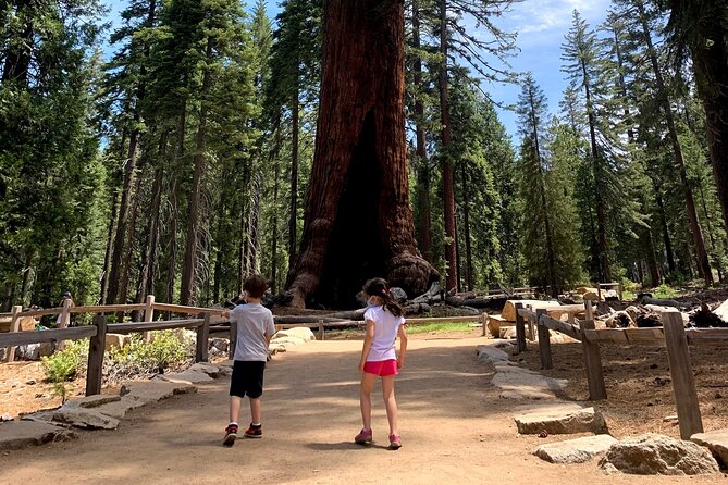 Yosemite Private Tour from San Francisco - Leaving San Francisco at 6:00 am