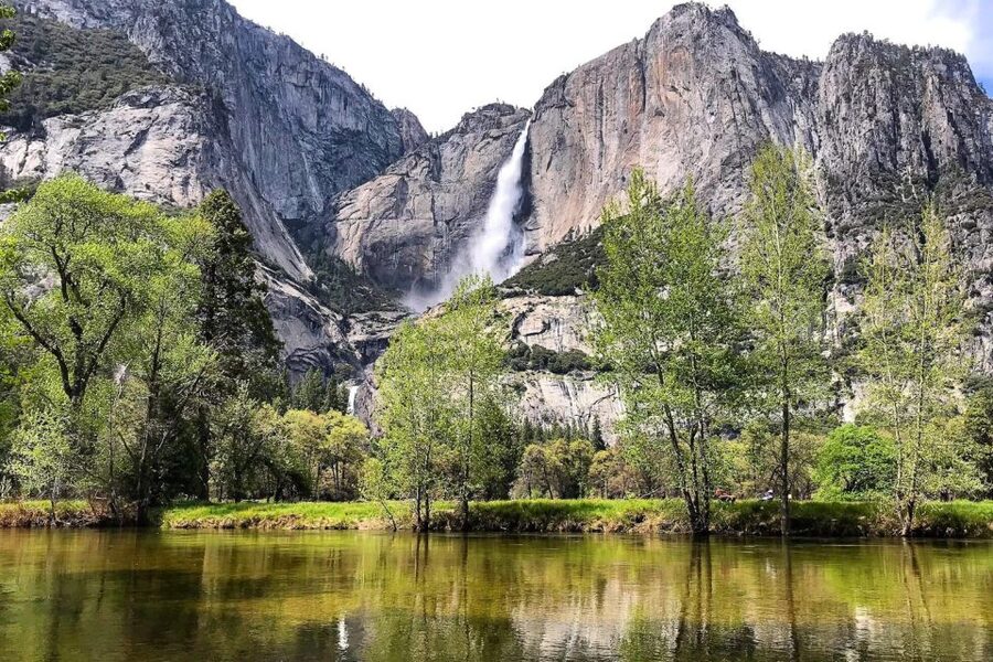Yosemite Valley 3-Day Camping Adventure - Giant sequoias before Yosemite Valley