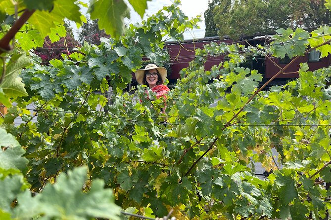 Yountville Food and Wine Tour in Napa - The French Laundry gardens and Van De Leur Park