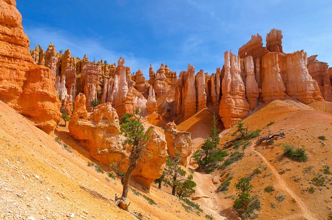 Zion, Bryce, Antelope, Grand Canyon, Las Vegas 6-Day Tour from SF - Day 4: Monument Valley, Horseshoe Bend, and Antelope Canyon